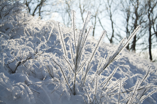 FF_Fotografie_tips_sneeuw_winter_08