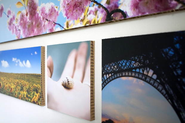 FF_Ogu_print_fotografie_interieur_08