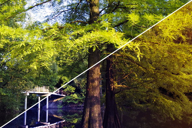 FF_tutorial_kleurverloop-effect_photoshop