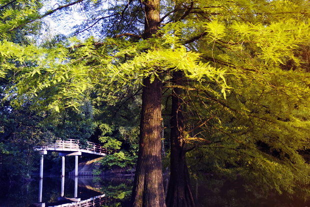 FF_tutorial_kleurverloop-effect_photoshop_08