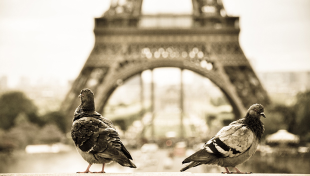 FF_Fotowedstrijd_OpReis_Nikon_Ellis Goessens