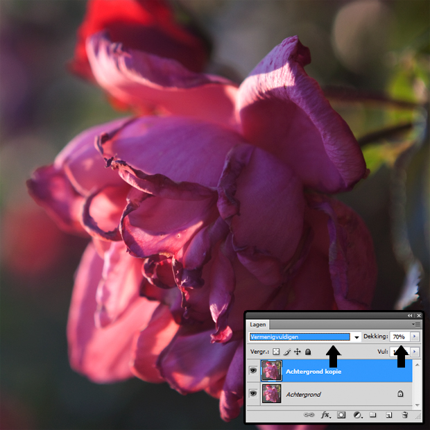 FF_tutorial-photoshop_snel-contrast_doordrukken_vermenigvuldigen_03