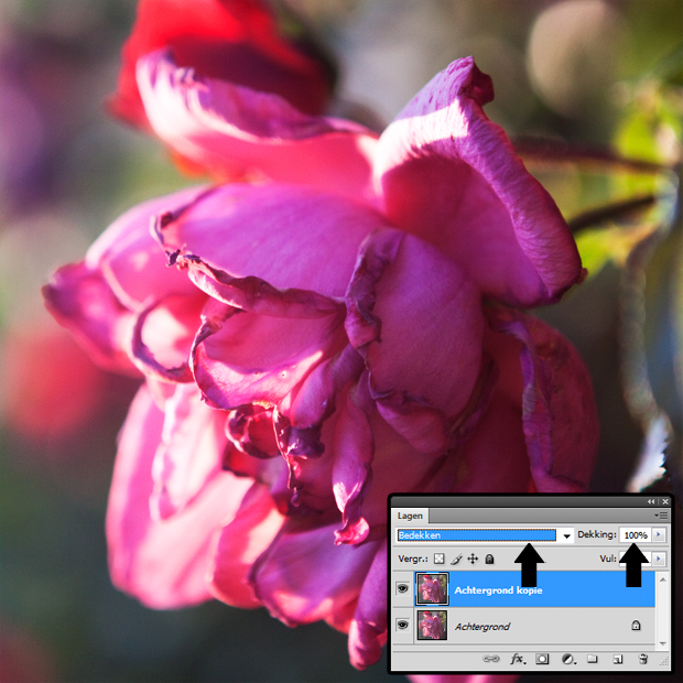 FF_tutorial-photoshop_snel-contrast_doordrukken_vermenigvuldigen_04