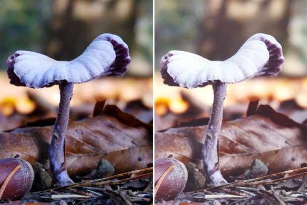 FF_photoshop_action_7_2