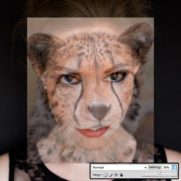 FF_tutorial_photoshop_animal_face_cheetah_04