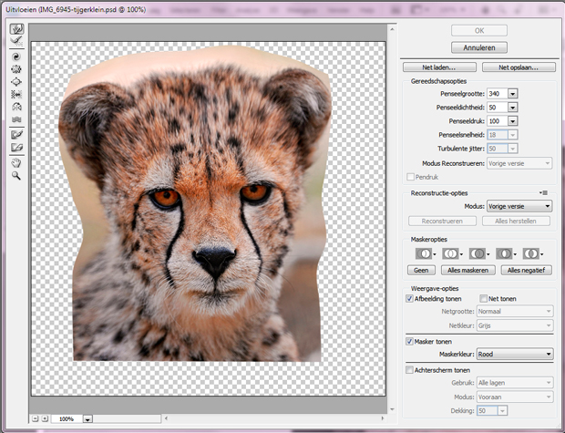 FF_tutorial_photoshop_animal_face_cheetah_05