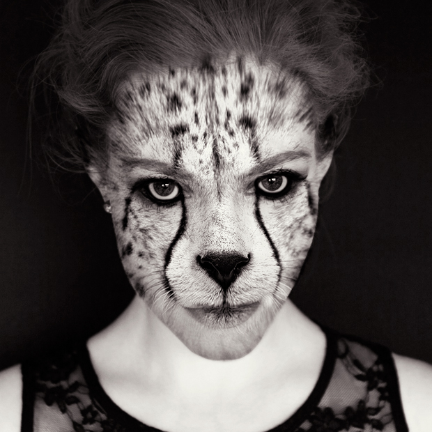 FF_tutorial_photoshop_animal_face_cheetah_11