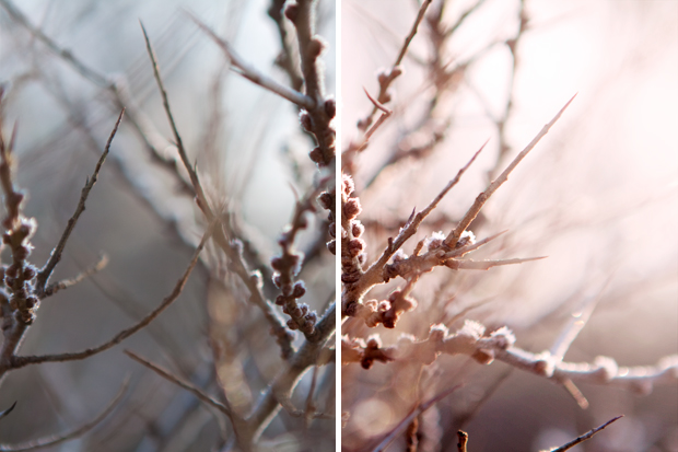 FF_tutorial_photoshop_lichtvlekken_soft-effect