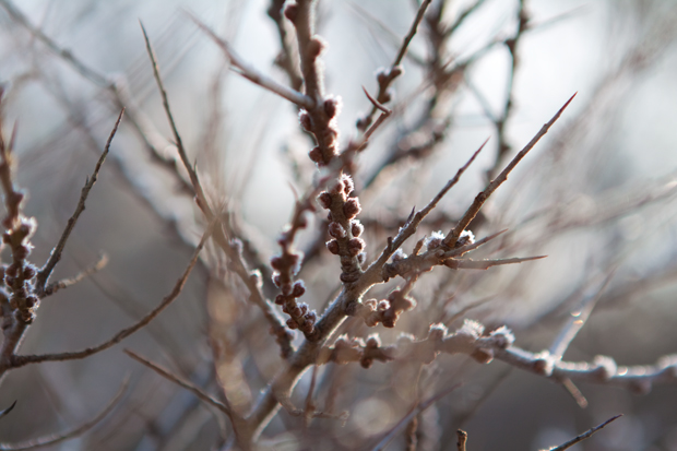 FF_tutorial_photoshop_lichtvlekken_soft-effect_01