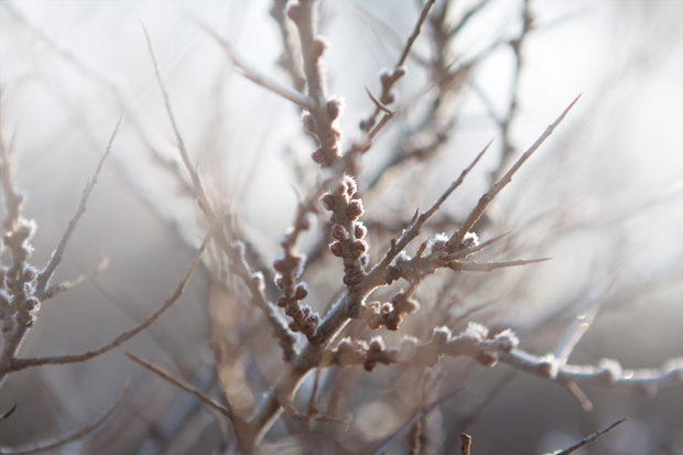 FF_tutorial_photoshop_lichtvlekken_soft-effect_05