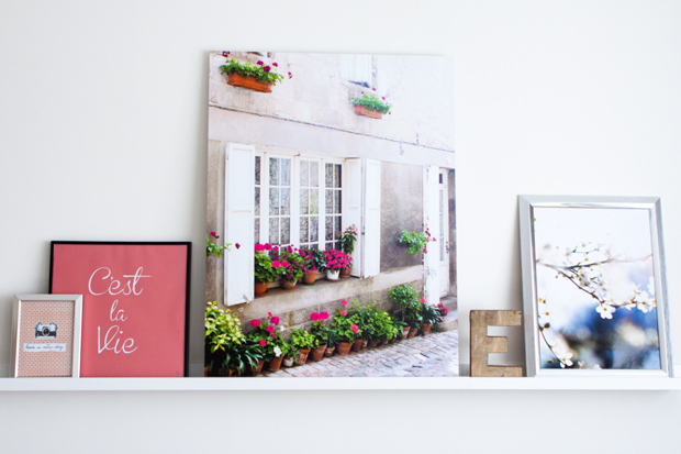 FF_BigFreddy_print_foto_aluminium_review_08