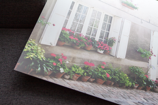 FF_BigFreddy_print_foto_aluminium_review_13