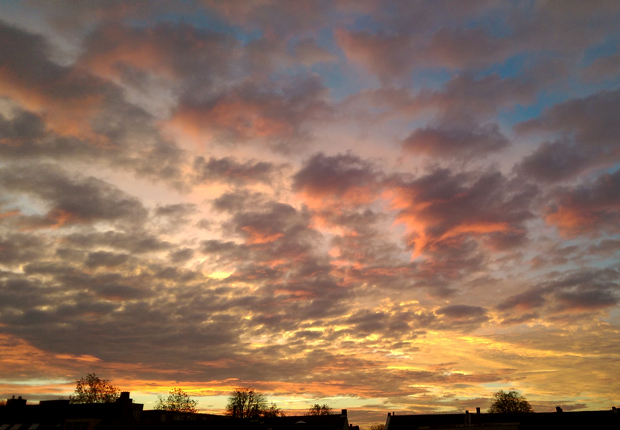 FF_HTC-one-m8_smartphone_photography_review05