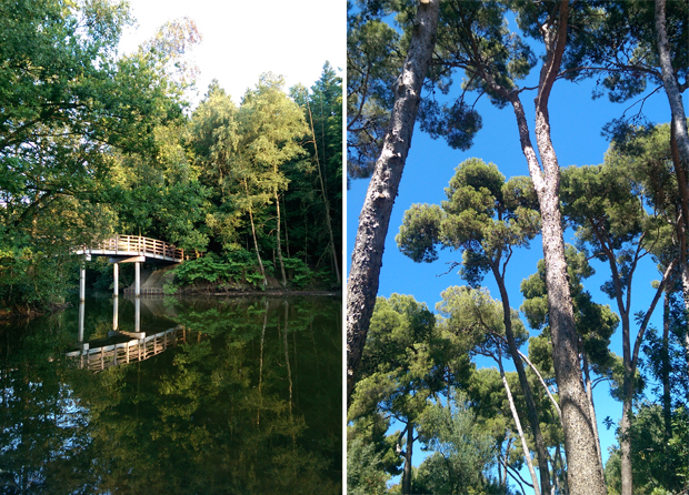FF_HTC-one-m8_smartphone_photography_review06