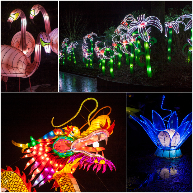 FF_ChinaLight_BurgersZoo_fotografie