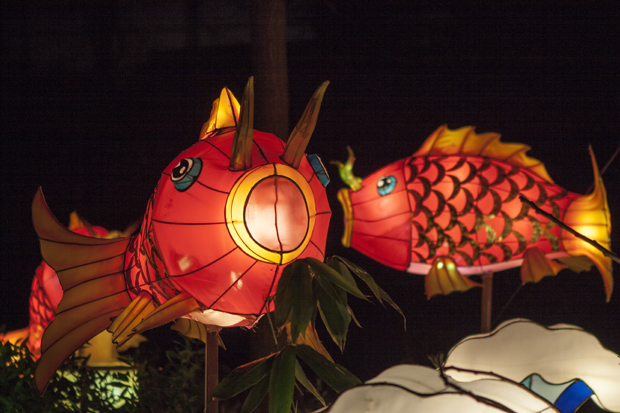 FF_ChinaLight_BurgersZoo_fotografie_09