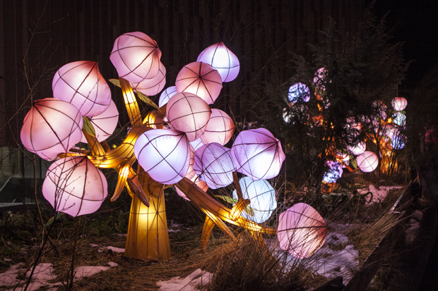 FF_ChinaLight_BurgersZoo_fotografie_12