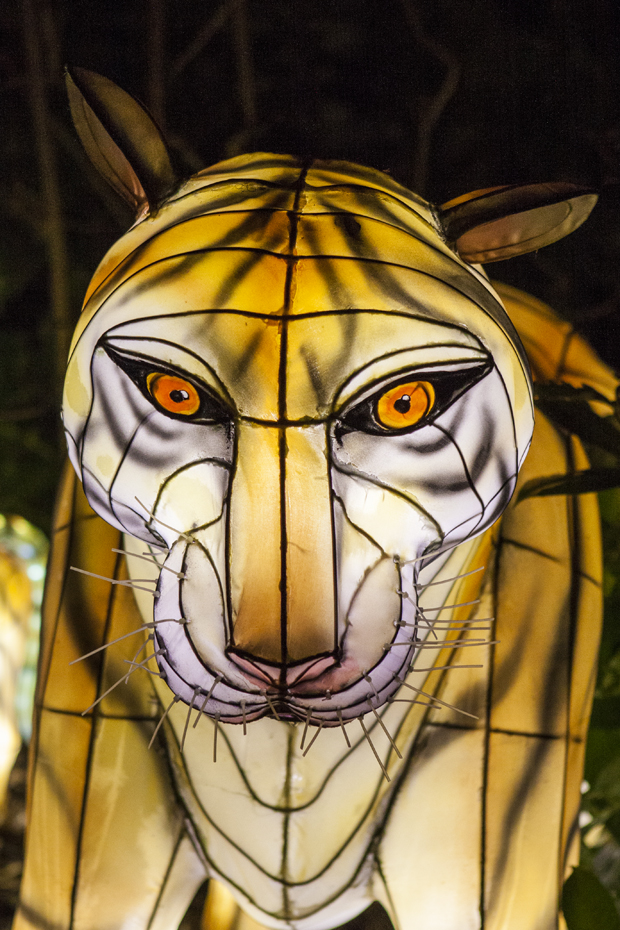 FF_ChinaLight_BurgersZoo_fotografie_15