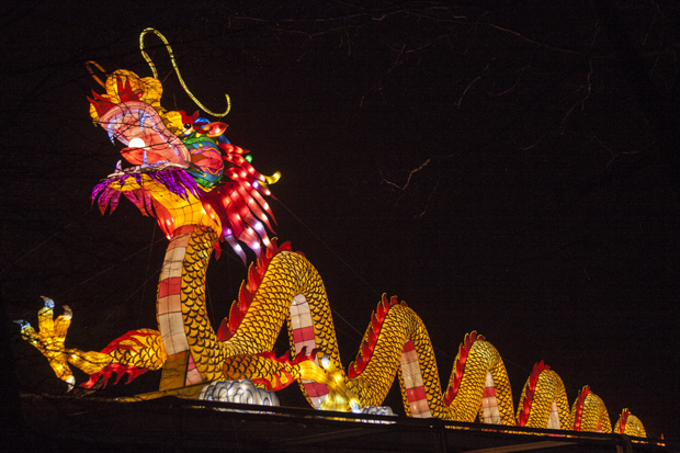 FF_ChinaLight_BurgersZoo_fotografie_22
