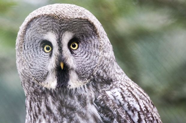 FF_burgerszoo_fotografie_dieren03