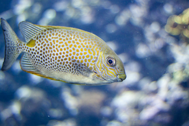 FF_burgerszoo_fotografie_dieren12