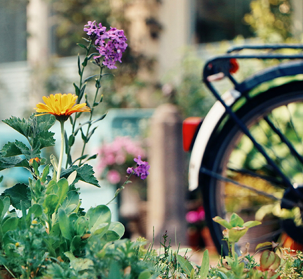 FF_Canon_Amsterdam_event_rondvaart_15