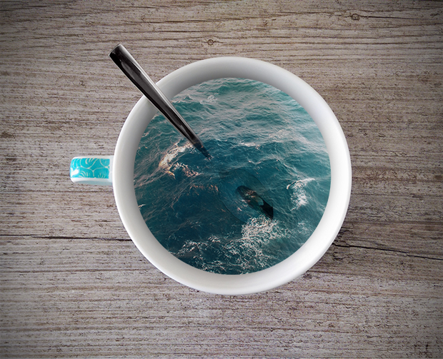 FF_tutorial_photoshop_theekop_manipulatie_08