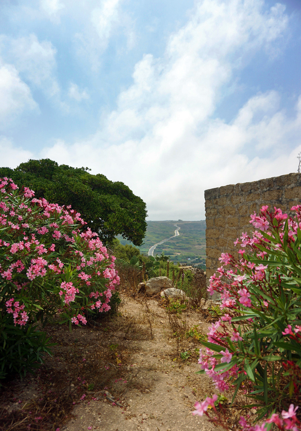 FF_Malta_photography_fotografie_Gozo_Comino_05