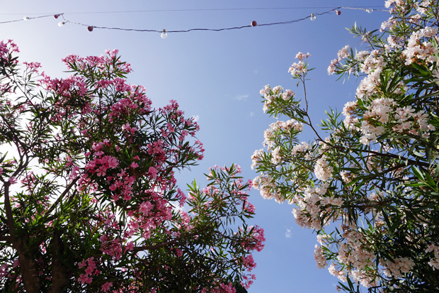 FF_Malta_photography_fotografie_Mdina_Rabat_19