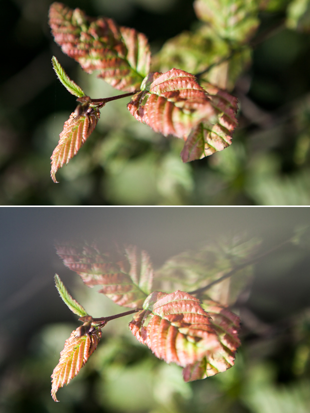 Fotografie hack met een boterhamzakje