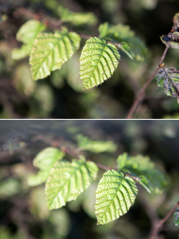 Fotografie hack met een boterhamzakje