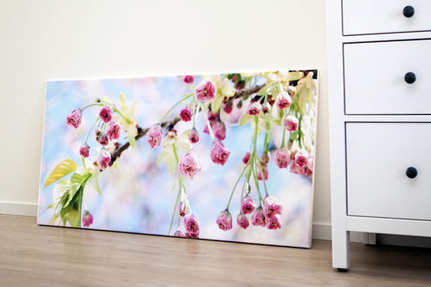 FF_review_foto-canvas_bestecanvas_01