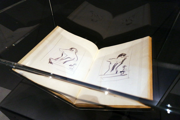 SAMSUNG CAMERA PICTURES