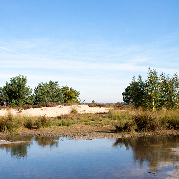 FF_fotografie_Duinen_LoonOpZand_herfst