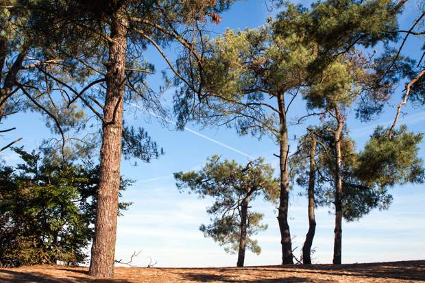 FF_fotografie_Duinen_LoonOpZand_herfst_01