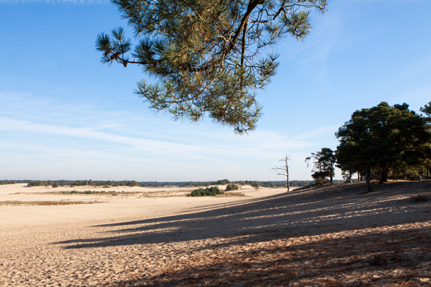 FF_fotografie_Duinen_LoonOpZand_herfst_02