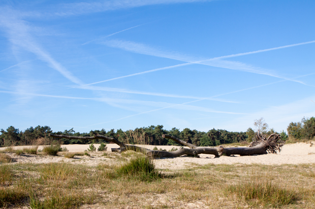 FF_fotografie_Duinen_LoonOpZand_herfst_04