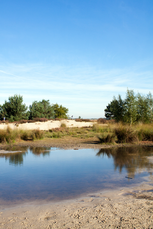 FF_fotografie_Duinen_LoonOpZand_herfst_05