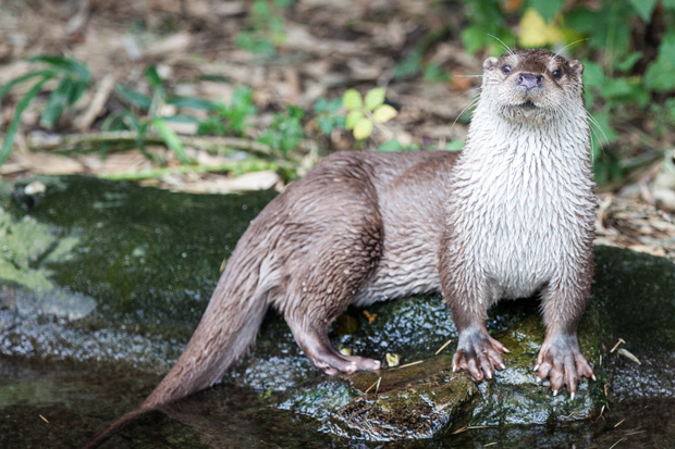 FF_fotografie_dierentuin_Rotterdam_blijdorp_zoo_13