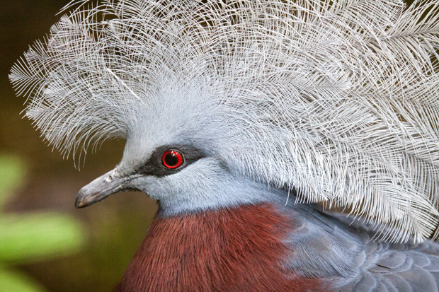 FF_fotografie_dierentuin_Rotterdam_blijdorp_zoo_16