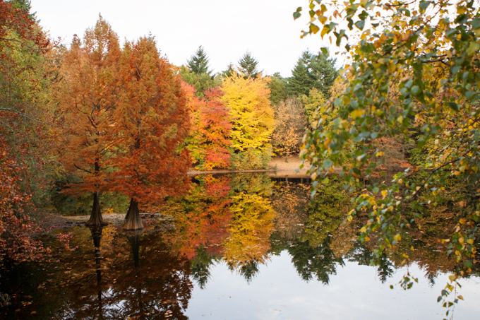 FF_fotografie_herfst_Tilburg_wandelbos_02