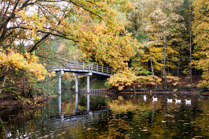 FF_fotografie_herfst_Tilburg_wandelbos_04