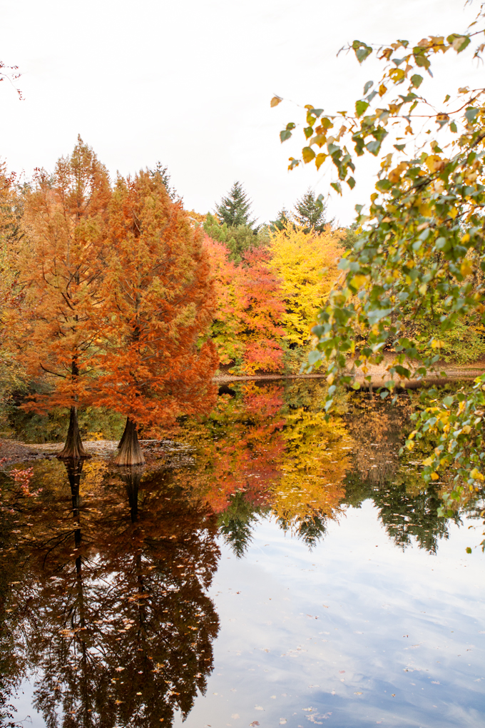 FF_fotografie_herfst_Tilburg_wandelbos_07
