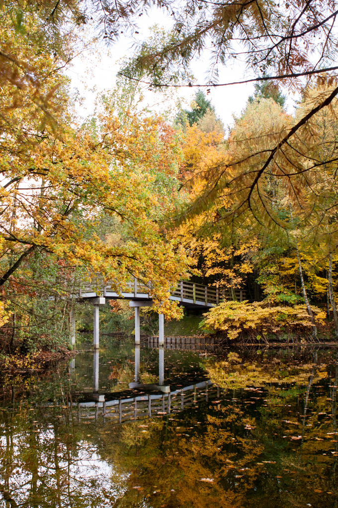 FF_fotografie_herfst_Tilburg_wandelbos_09