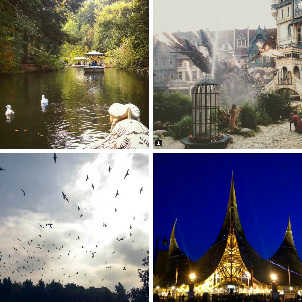 Fotografille_instagram-fotos_oktober_2015_03