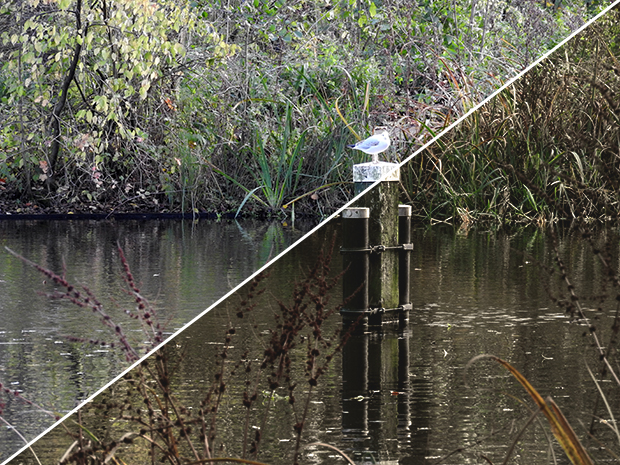 FF_download_handeling_photoshop_action_8_01