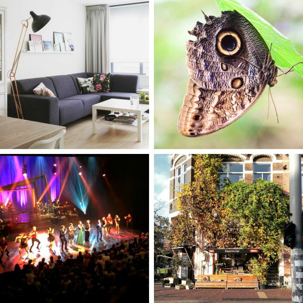 FF_instagram_november_03