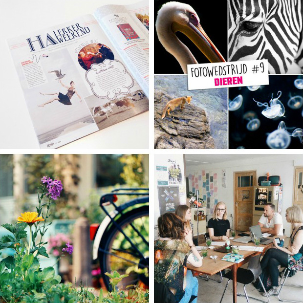 FF_overzicht_blog_2015