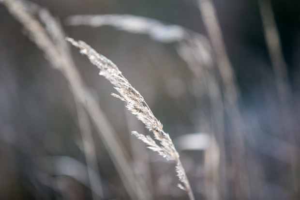 FF_fotografie_winter_sneeuw_Canon6D_03