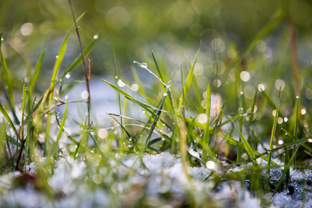 FF_fotografie_winter_sneeuw_Canon6D_05